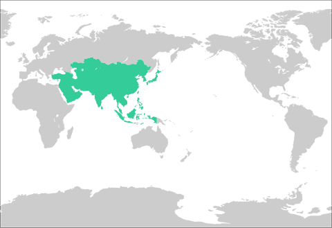アジア大陸の位置