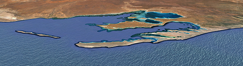 西オーストラリアのシャーク湾